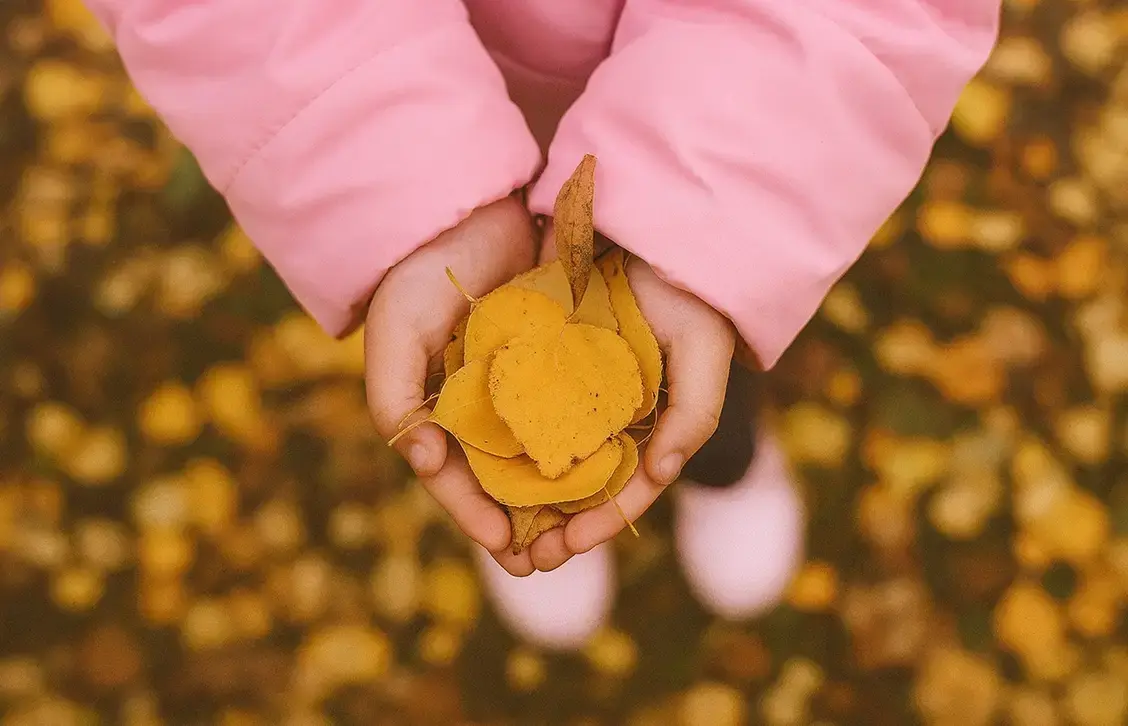 Saúde Sustentável em Todas as Políticas