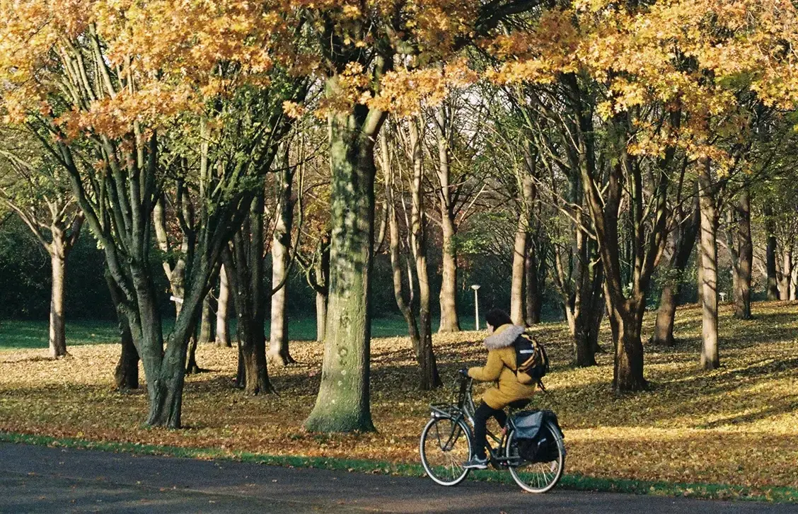 Situação de Saúde
